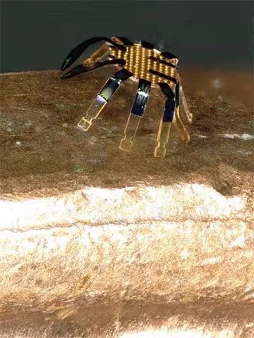 全球最小的遙控行走機器人誕生，用激光實現(xiàn)精準運動控制